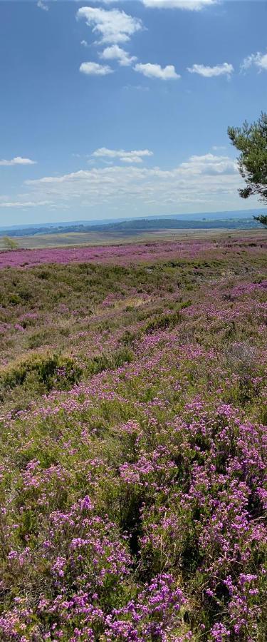 Floyter House North Yorkshire Moors National Park Bed and Breakfast Danby Εξωτερικό φωτογραφία