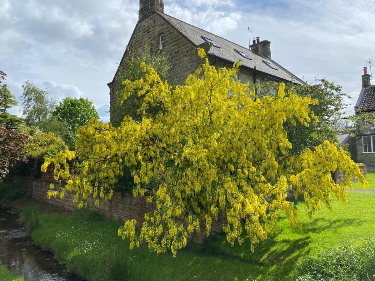 Floyter House North Yorkshire Moors National Park Bed and Breakfast Danby Εξωτερικό φωτογραφία